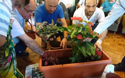 Jornadas comunitarias por zonas.