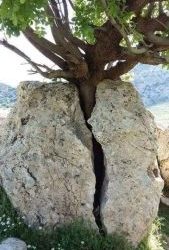 ITAKA – ESCOLAPIOS… HACE POSIBLE LO IMPOSIBLE
