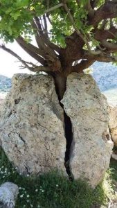 ITAKA – ESCOLAPIOS… HACE POSIBLE LO IMPOSIBLE