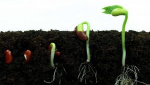 ITAKA – ESCOLAPIOS ES SEMILLA DE NUEVA HUMANIDAD