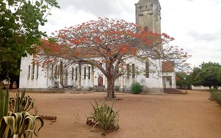 Imagen1